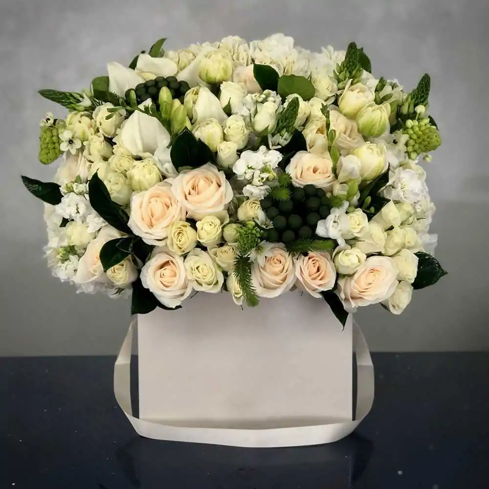 Эридана eridana