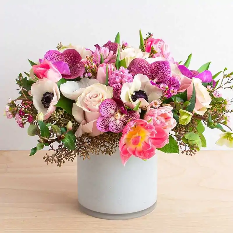 Альдерамин alyderamin